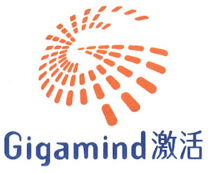 Gigamind English Primary School